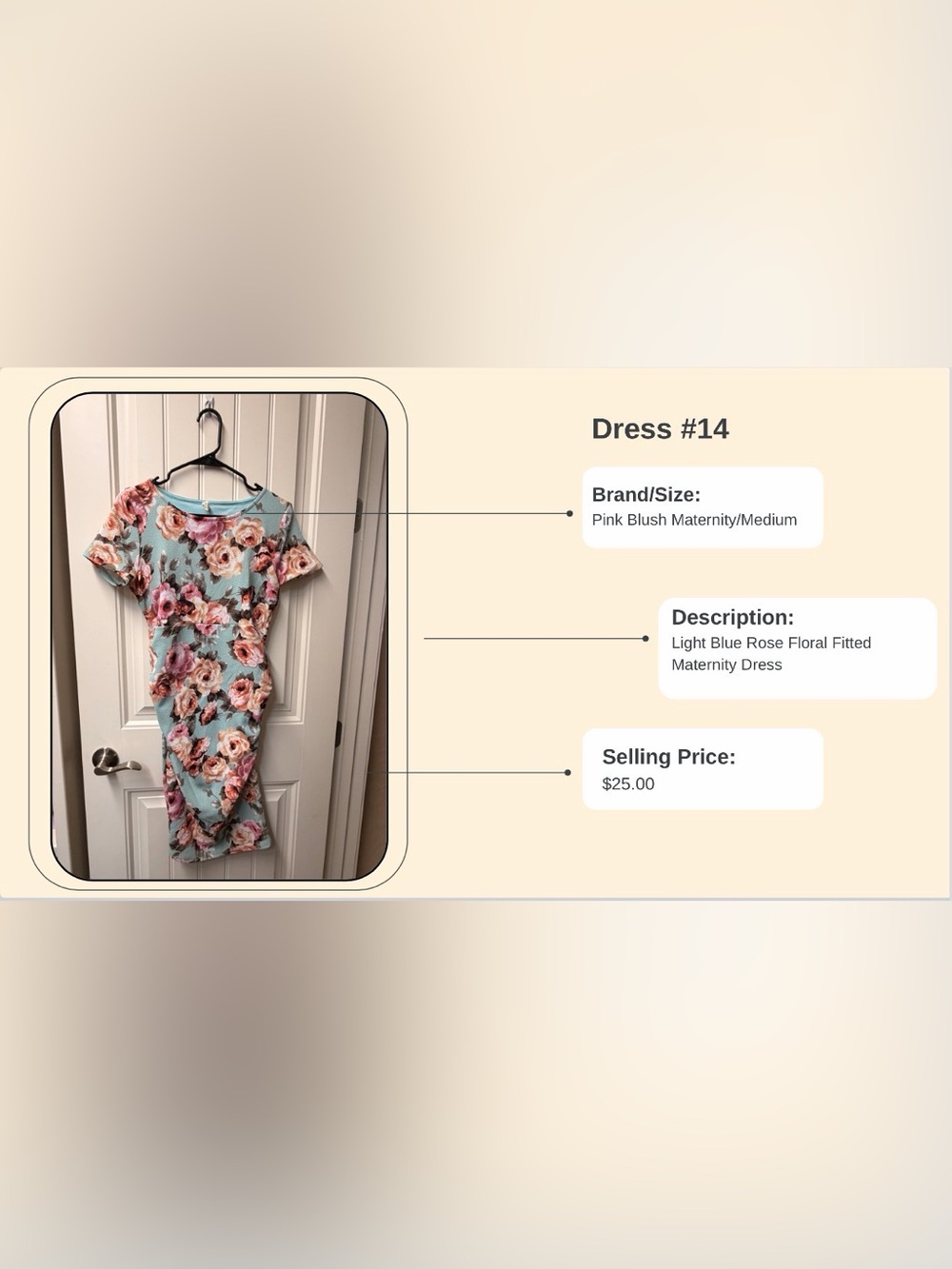 Pinkblush Light Blue Floral Maternity Dress with Pink Roses